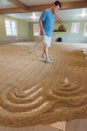 Rick Wasmund hand rakes grain on the floor of his malthouse