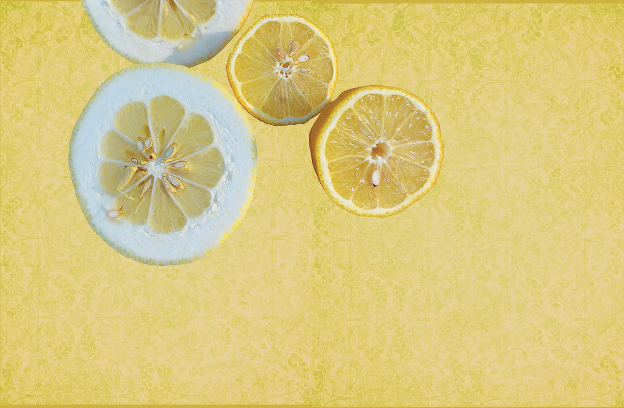 2x Citrus Peeler Orange Peeler Ring Finger Held Grapefruit Lemon